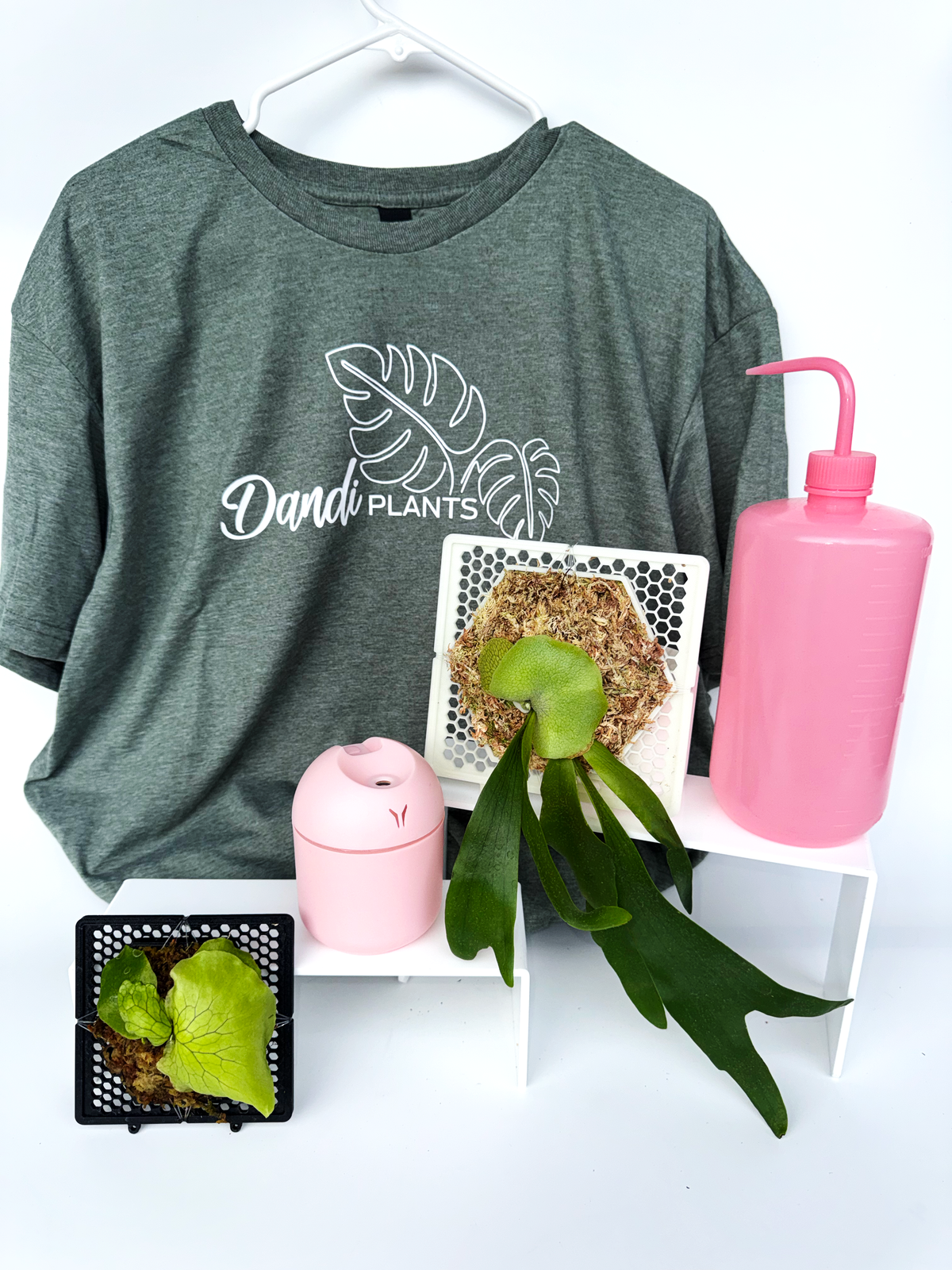 Dandi Accessories & More