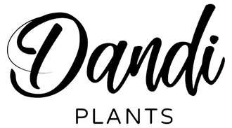 Dandi Plants