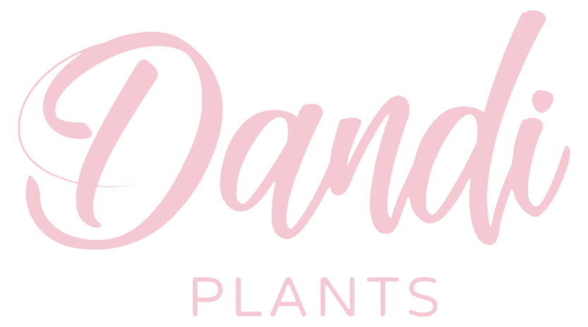Dandi Plants