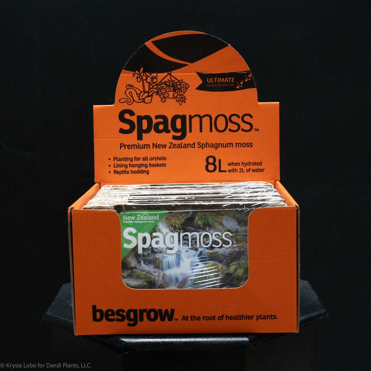 Besgrow Spagmoss 100g Compressed Brick of Sphagnum Moss