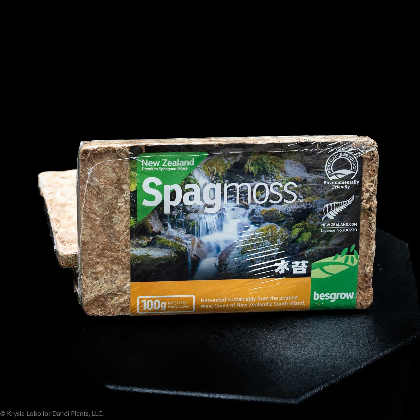 Besgrow Spagmoss 100g Compressed Brick of Sphagnum Moss