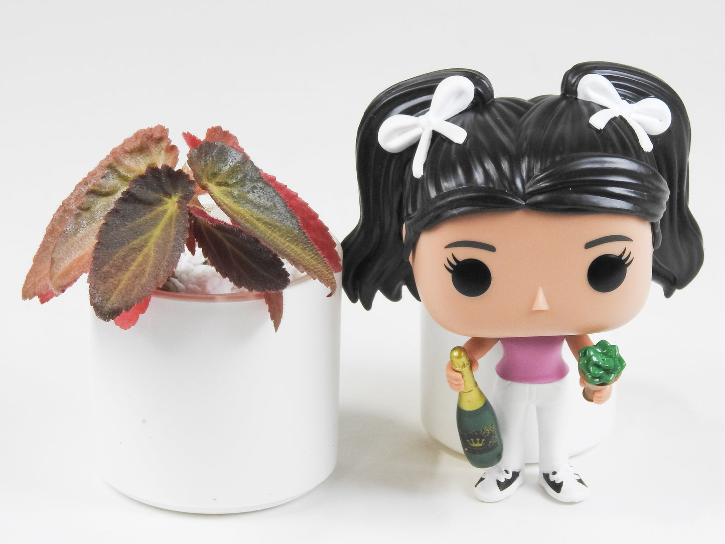 Begonia Withlacoochie Variegated (3402)