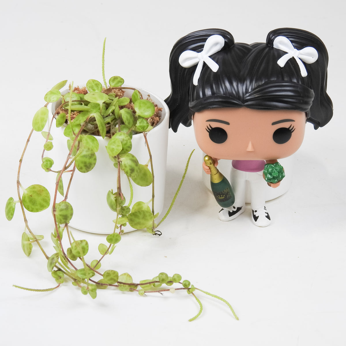 Peperomia Prostrata 'String of Turtles' *Growers Choice*
