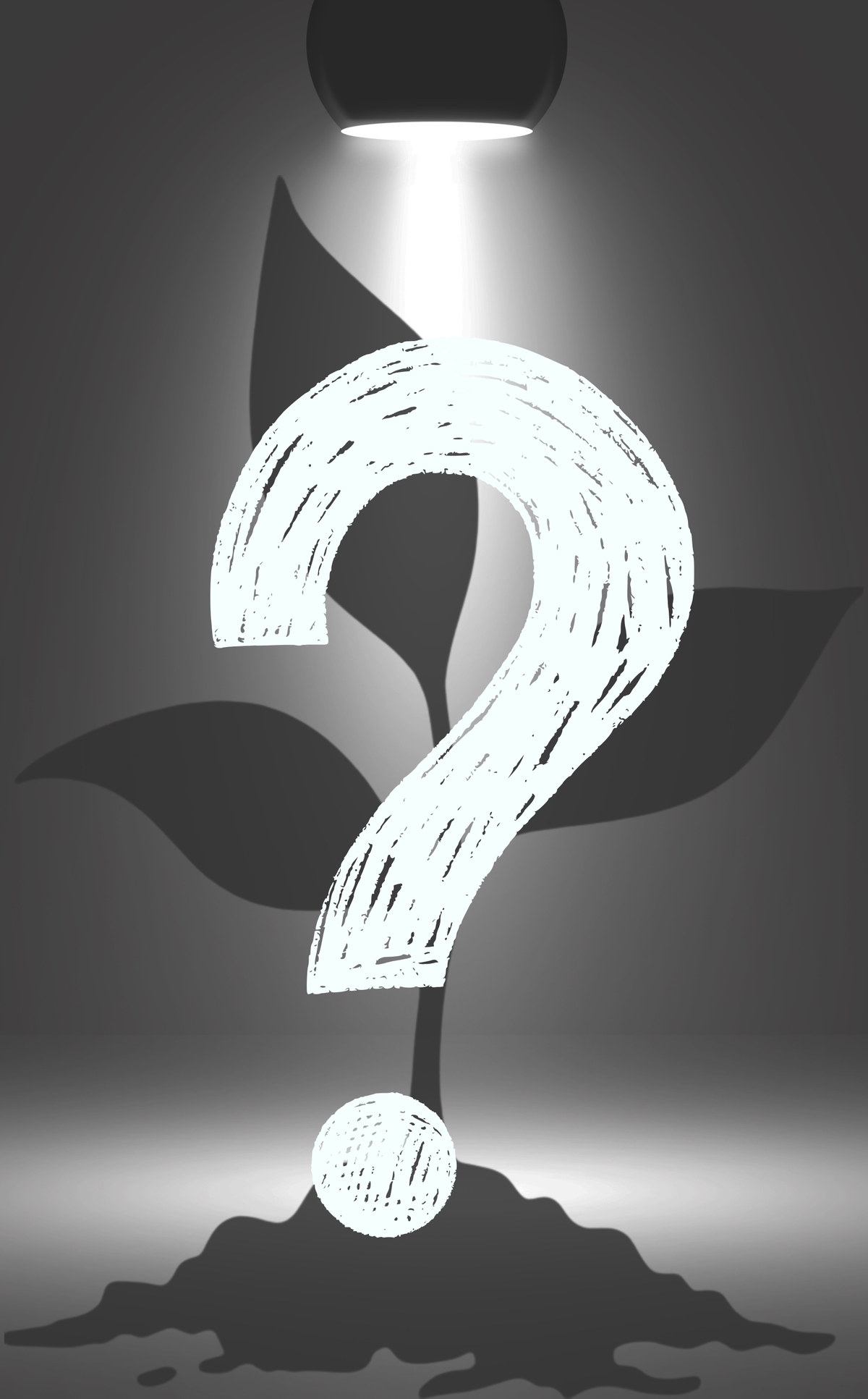Mystery Plug Of the Week